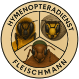 Hornissenschutz Fleischmann