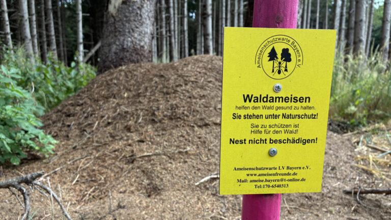 Ameisenhege Hinweisschild Hinweisschild: Waldameisen stehen unter Naturschutz