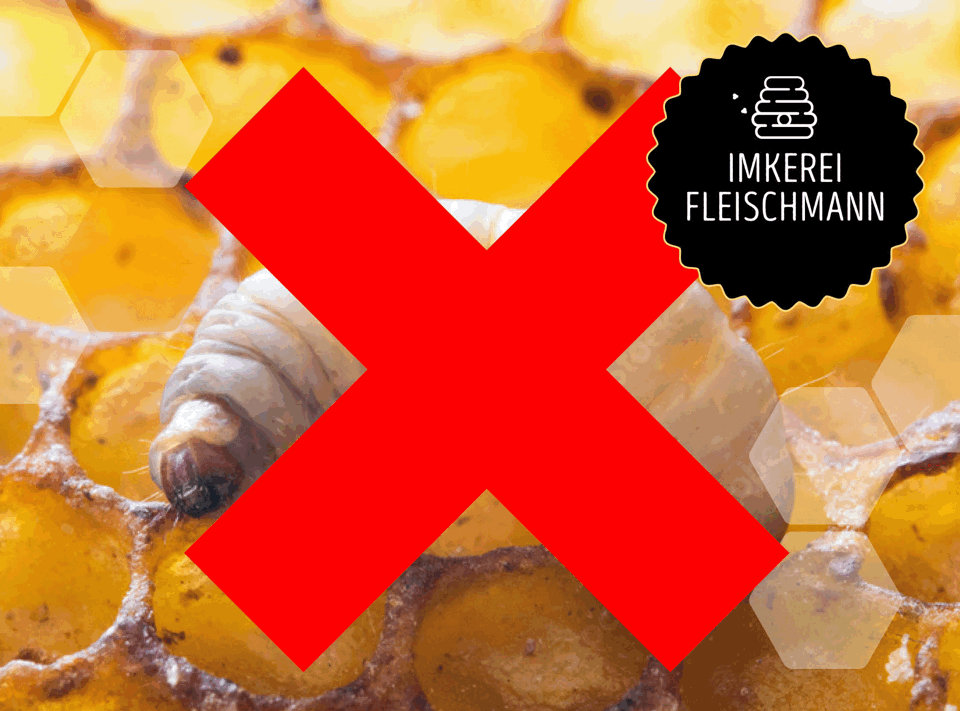 Tschuess Wachsmotte 01